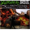 V.A.  -  Schlachtrufe BRD IX   (CD)