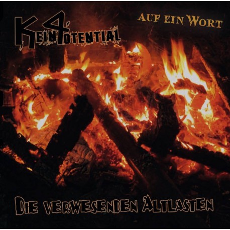 Kein Potrntial / D.V.A. - Die verwesenden Altlasten - Auf ein Wort (LP)