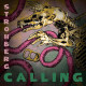 V.A. - Strohberg Calling (LP)