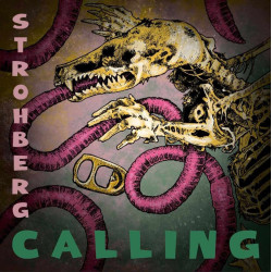 V.A. - Strohberg Calling (LP)